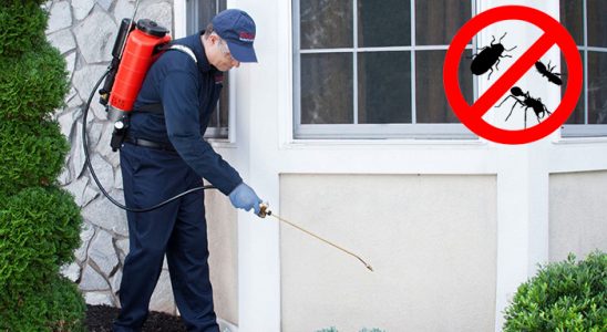 Torbalı Karınca İlaçlama böcek ilaçlama ve haşere kontrolü — ilaclama-tr.com